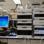 Systemy biologicznych obliczeń 9 Photo Biological computing systems