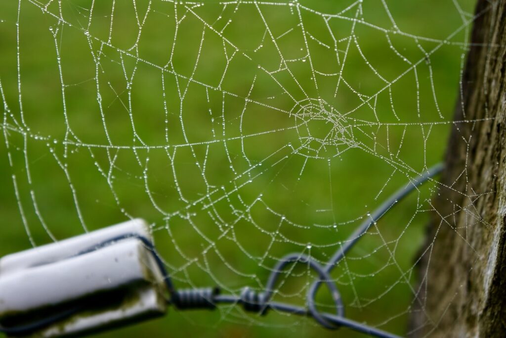 Photo Web3 integration